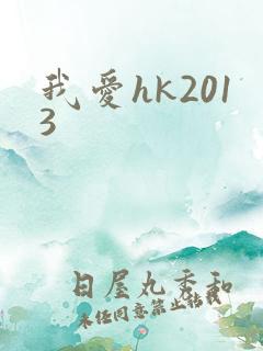 我爱hk2013