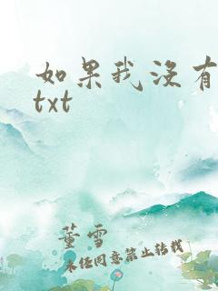 如果我没有爱过txt
