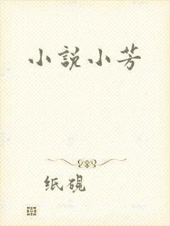 小说小芳