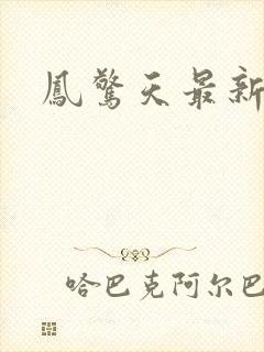 凤惊天最新章节