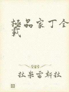 极品家丁全集下载