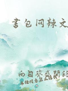 书包网辣文