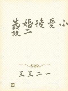 先婚后爱小说梦筱二