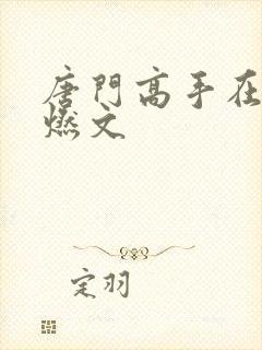 唐门高手在异世燃文