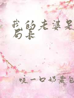 我的老婆是警察局长