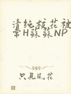 清纯校花被脔日常H苏苏NP