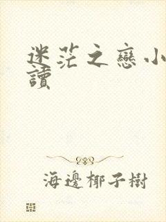 迷茫之恋小说阅读