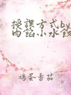授课方式by 肉馅小水饺