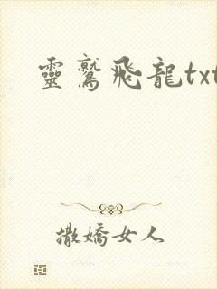 灵鹫飞龙txt