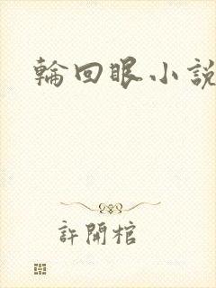 轮回眼小说