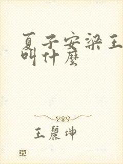 夏子安梁王书名叫什么