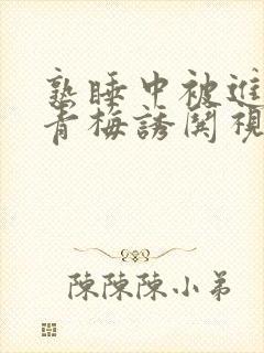 熟睡中被进了H青梅诱哄视频