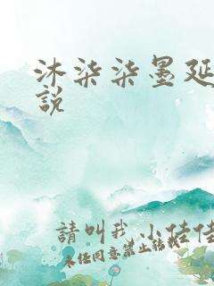 沐柒柒墨延爵小说