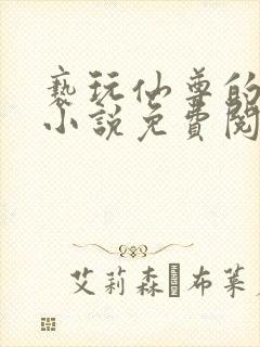 亵玩仙尊的道侣小说免费阅读