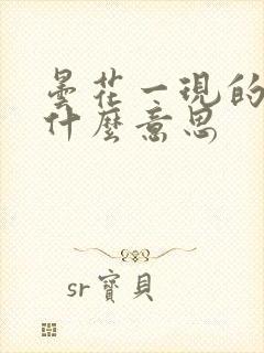 昙花一现的现是什么意思