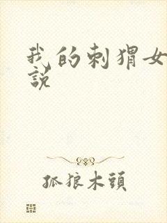 我的刺猬女孩小说