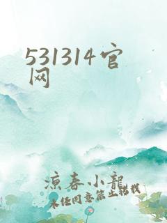531314官网