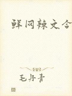 鲜网辣文合集