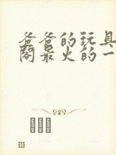 爸爸的玩具笔趣阁最火的一句