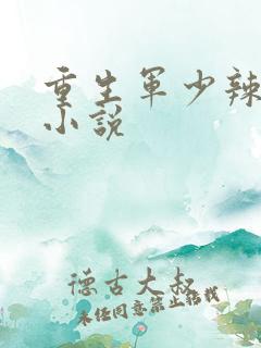 重生军少辣娇妻小说