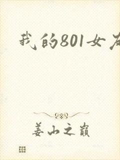 我的801女友