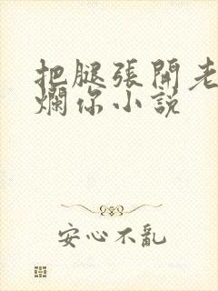 把腿张开老子臊烂你小说