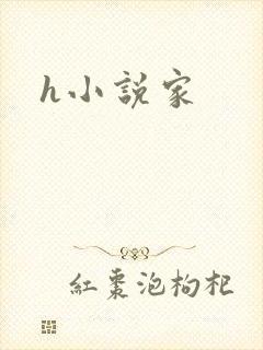 h小说家