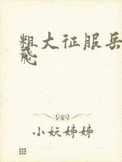 粗大征服岳女双飞