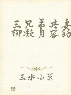 三兄弟共妻女主柳凝月容的小说