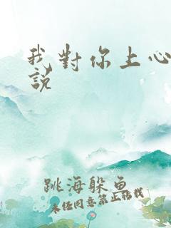 我对你上心了小说
