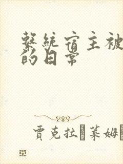 系统宿主被灌满的日常