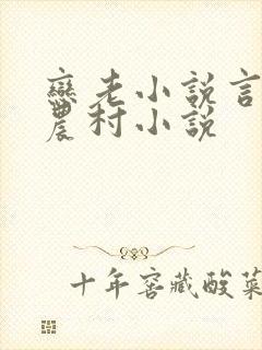 恋老小说言情网农村小说