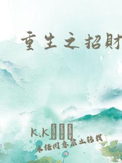 重生之招财进宝