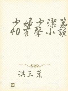 少妇少洁第1一40有声小说