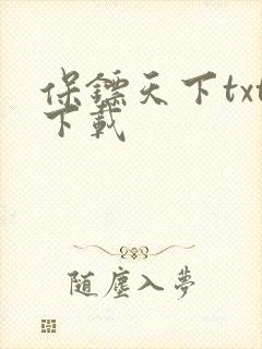 保镖天下txt下载