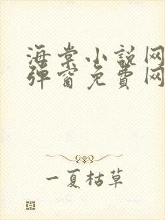 海棠小说网-无弹窗免费网络小说阅读网下4千