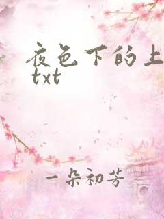 夜色下的上海滩 txt