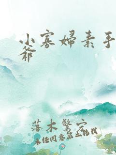小寡妇素手擒四爷