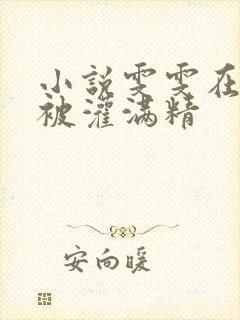 小说雯雯在工地被灌满精