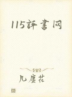 115评书网