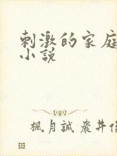 刺激的家庭乱仑小说