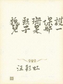 魏熙珊保护萧峥儿子是哪一集