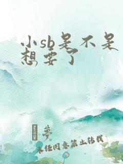 小sb是不是又想要了