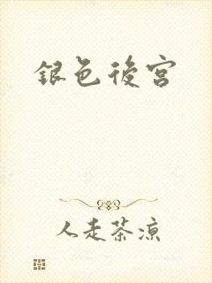 银色后宫