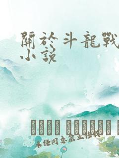 关于斗龙战士的小说
