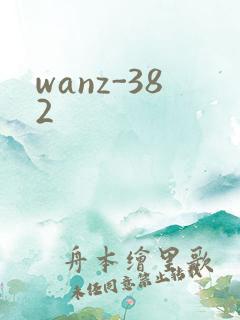 wanz-382