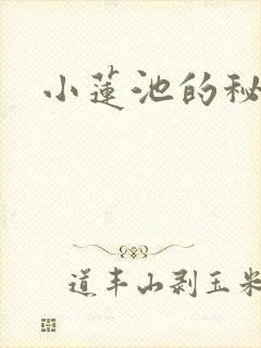 小莲池的秘密