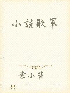 小说败军