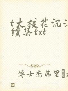 t大校花沉浮录续集txt