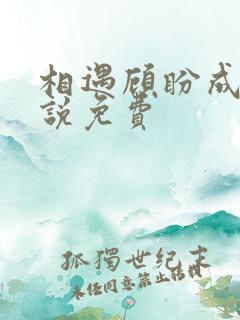 相遇顾盼成欢小说免费